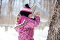 Quoi faire ce weekend en Estrie ?